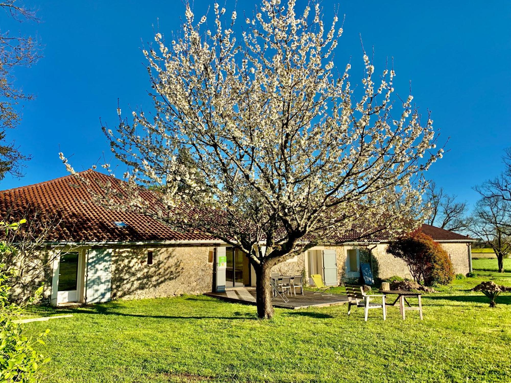 Le Poutic Gite Et Maison D'Hotes Creon-d'Armagnac Exteriör bild