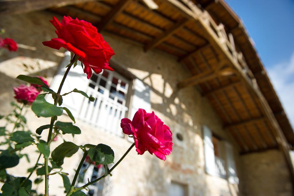 Le Poutic Gite Et Maison D'Hotes Creon-d'Armagnac Exteriör bild