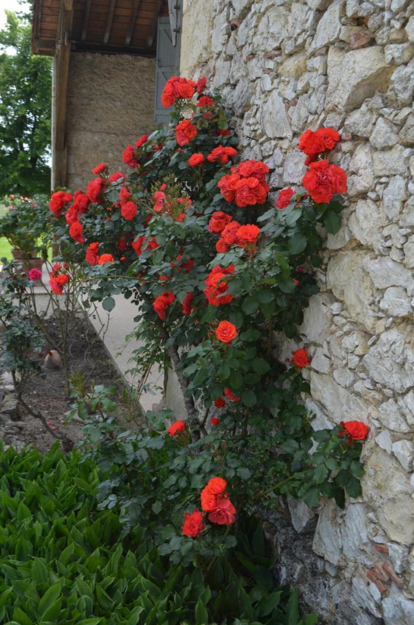 Le Poutic Gite Et Maison D'Hotes Creon-d'Armagnac Exteriör bild